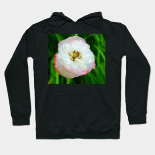 Poppy white flower photo Hoodie